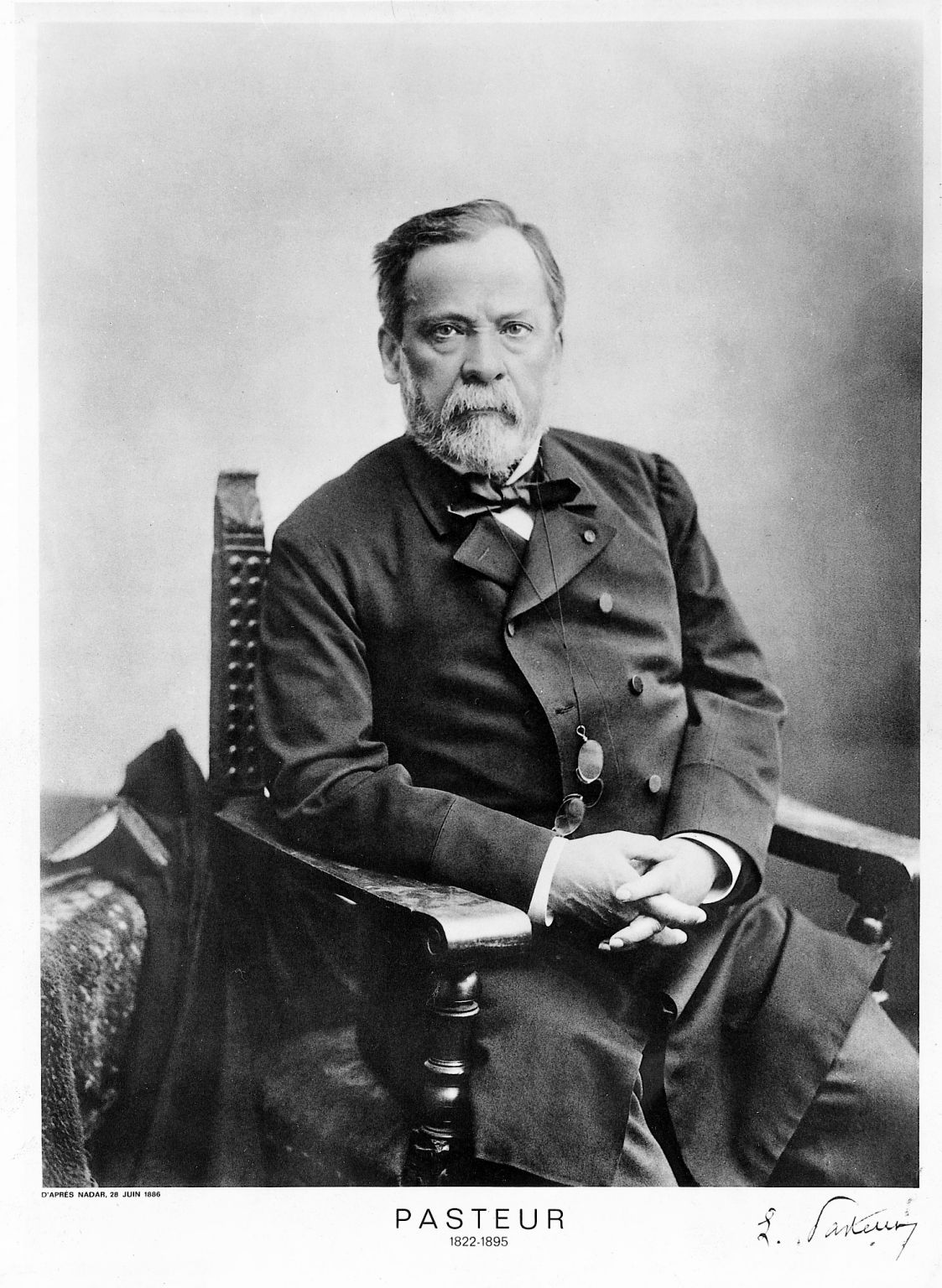 photographie de Louis Pasteur en 1886
