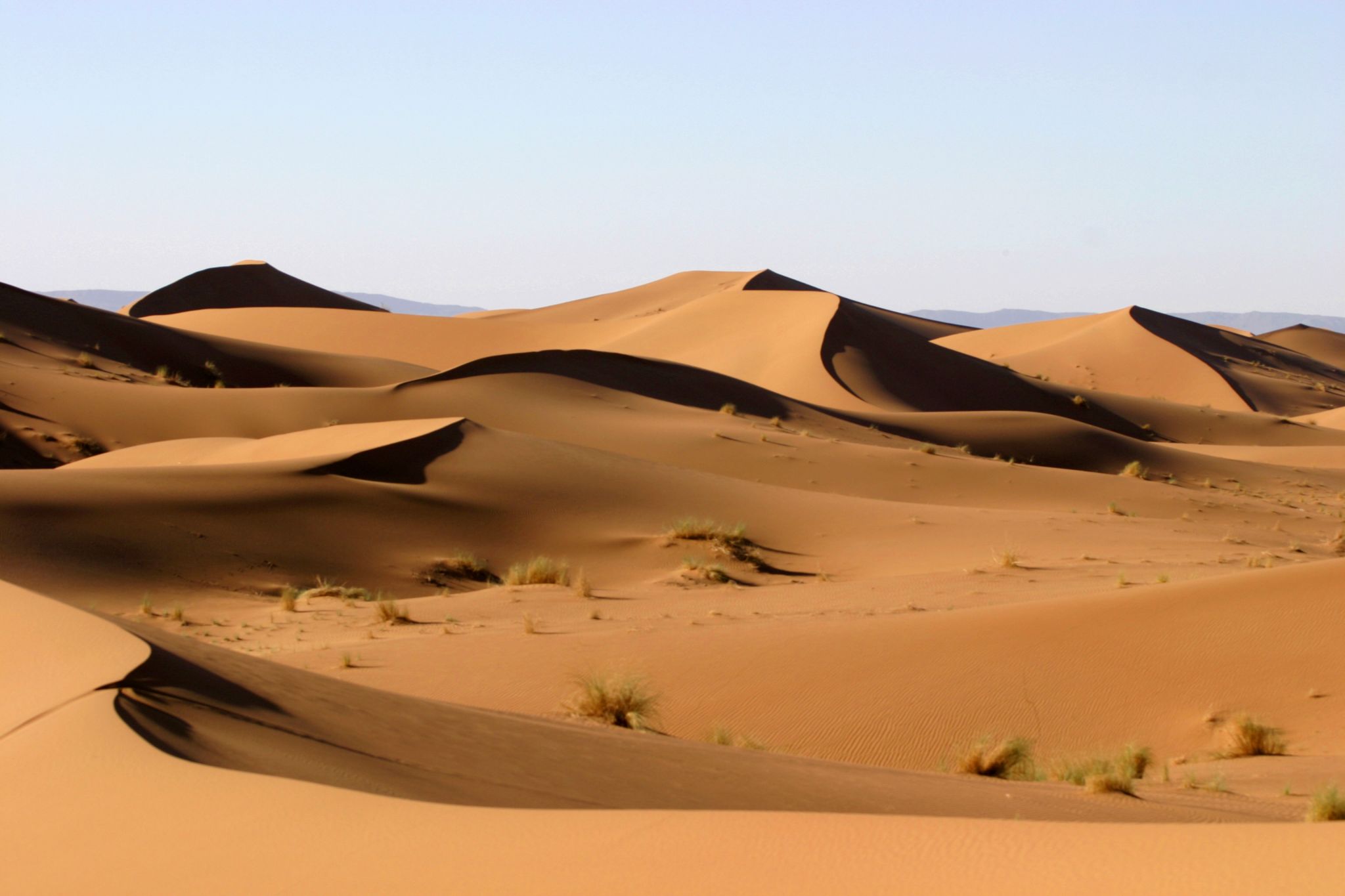Sahara : dunes dans la vallée du Ziz (Maroc)