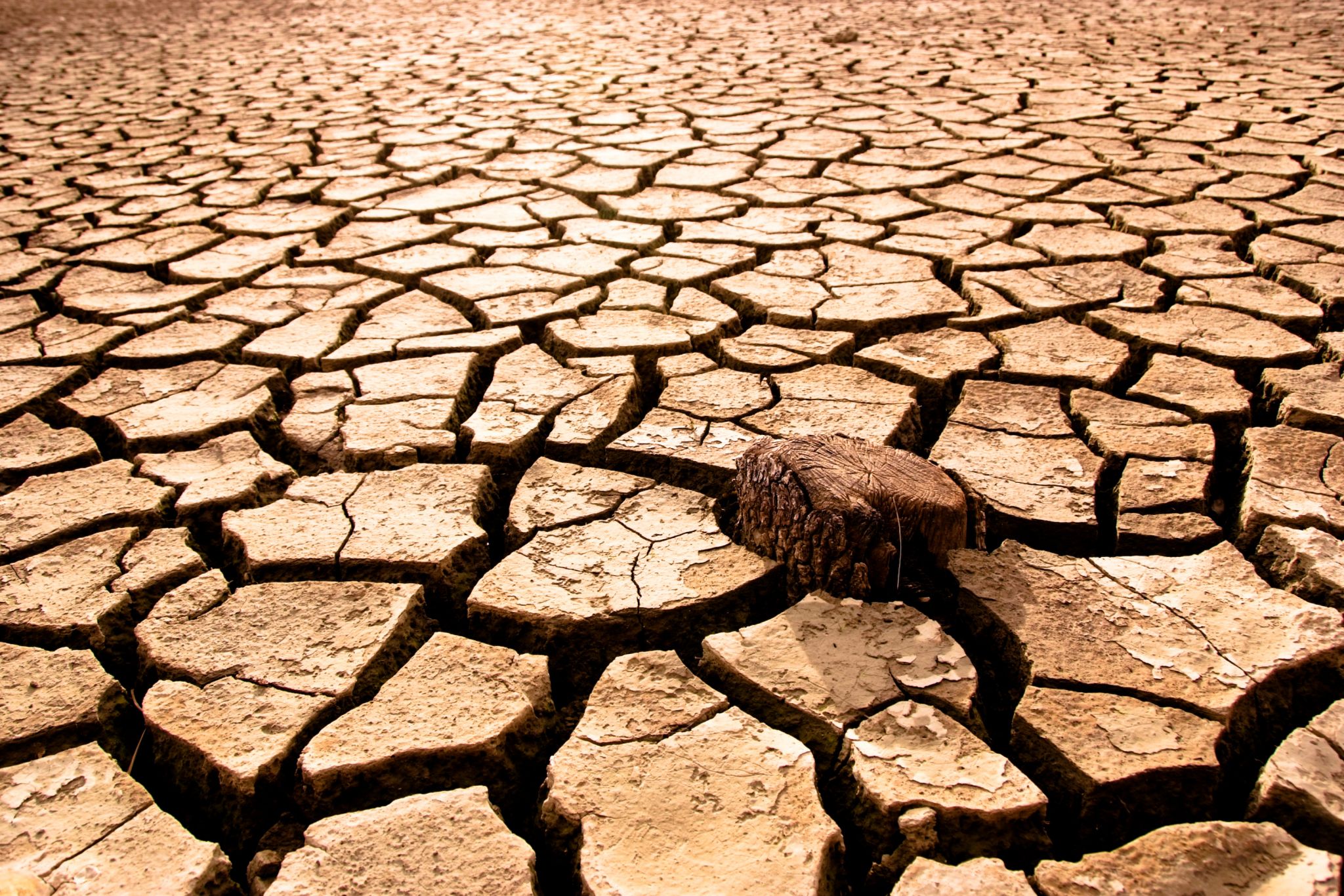 une terre craquelée sous l’effet de la sécheresse