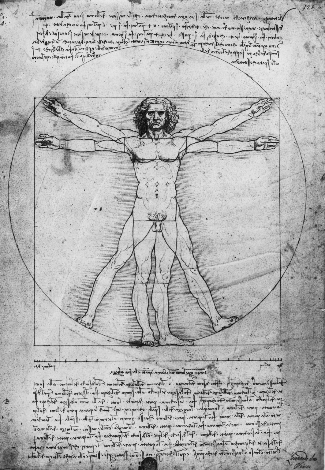 Léonard de Vinci : Étude de proportions du corps humain selon Vitruve (vers 1492)