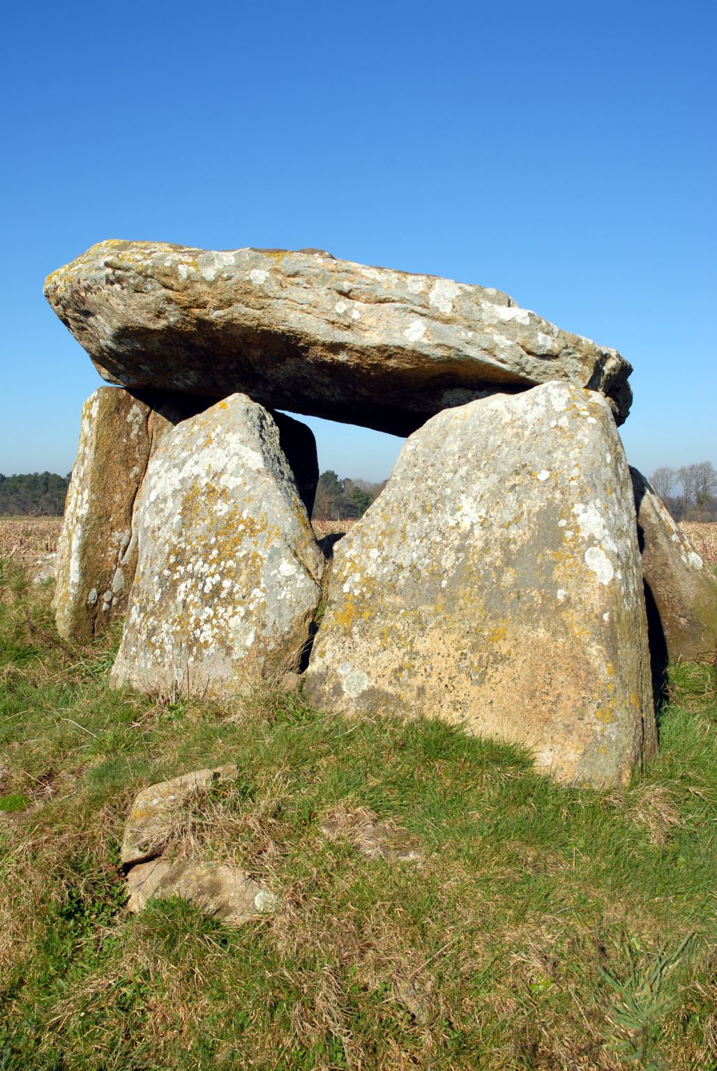 un dolmen (Côtes-d’Armor, Bretagne)