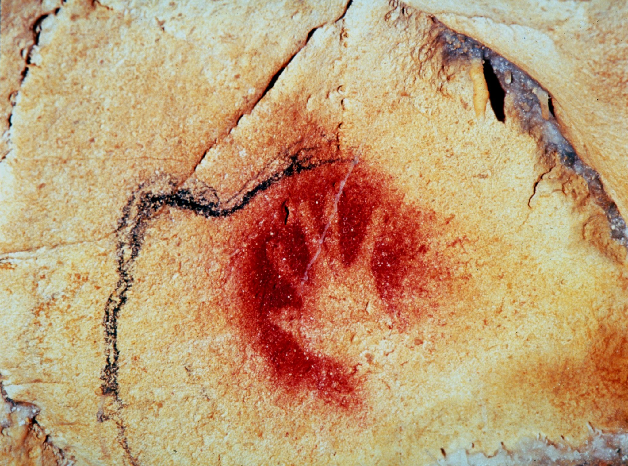 empreinte de main (peinture rupestre, grotte Chauvet-Pont-d’Arc, France)
