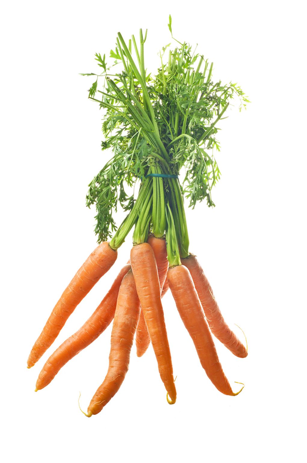 une botte de carottes
