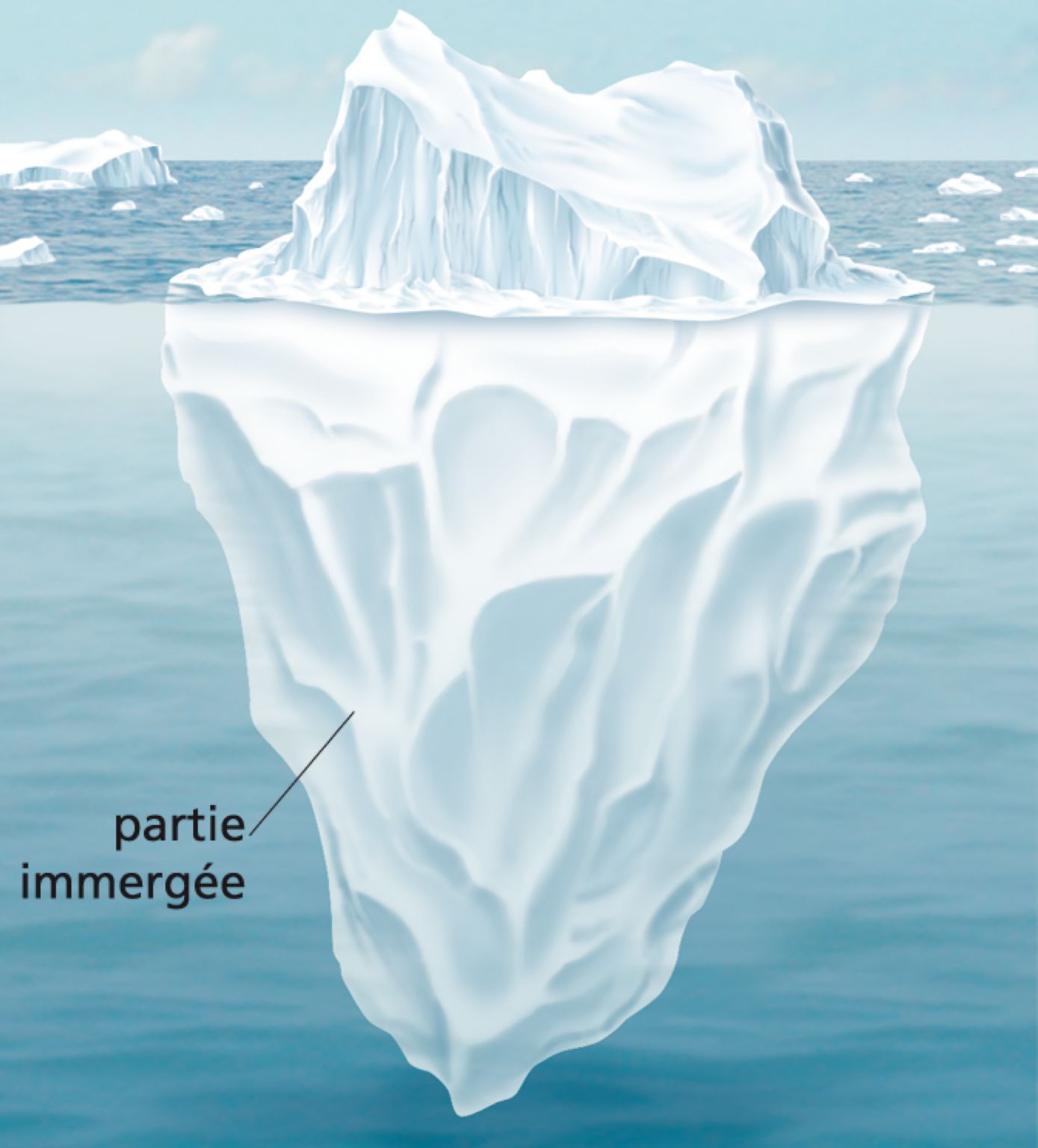la partie immergée d’un iceberg