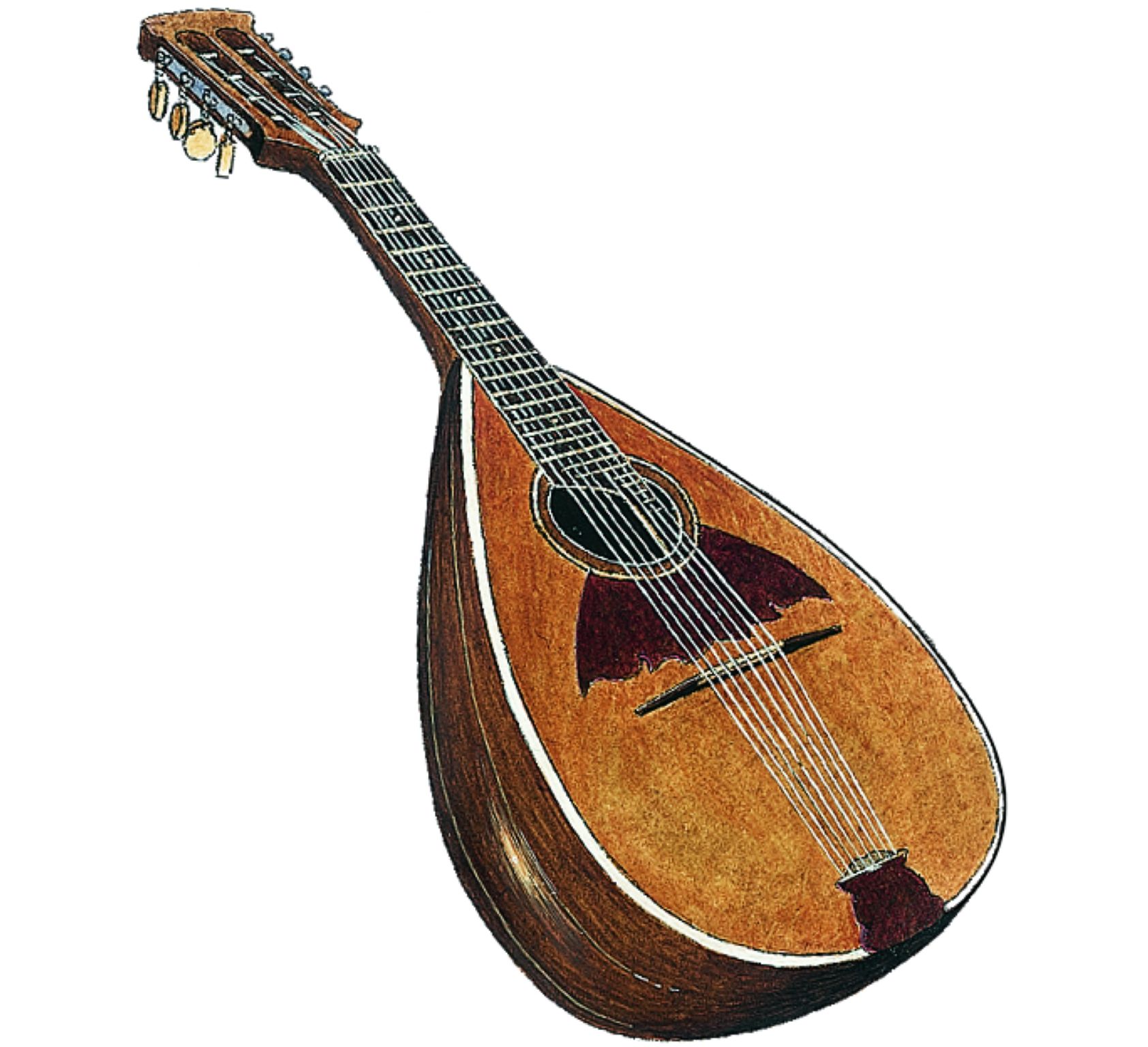 une mandoline