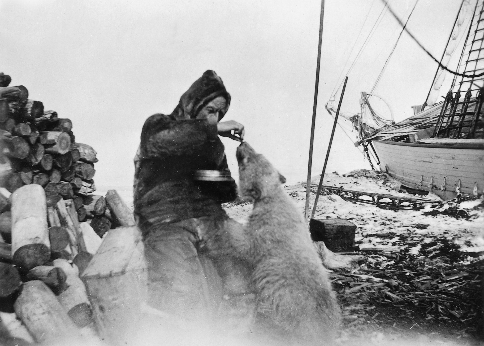 Roald Amundsen avec un ours