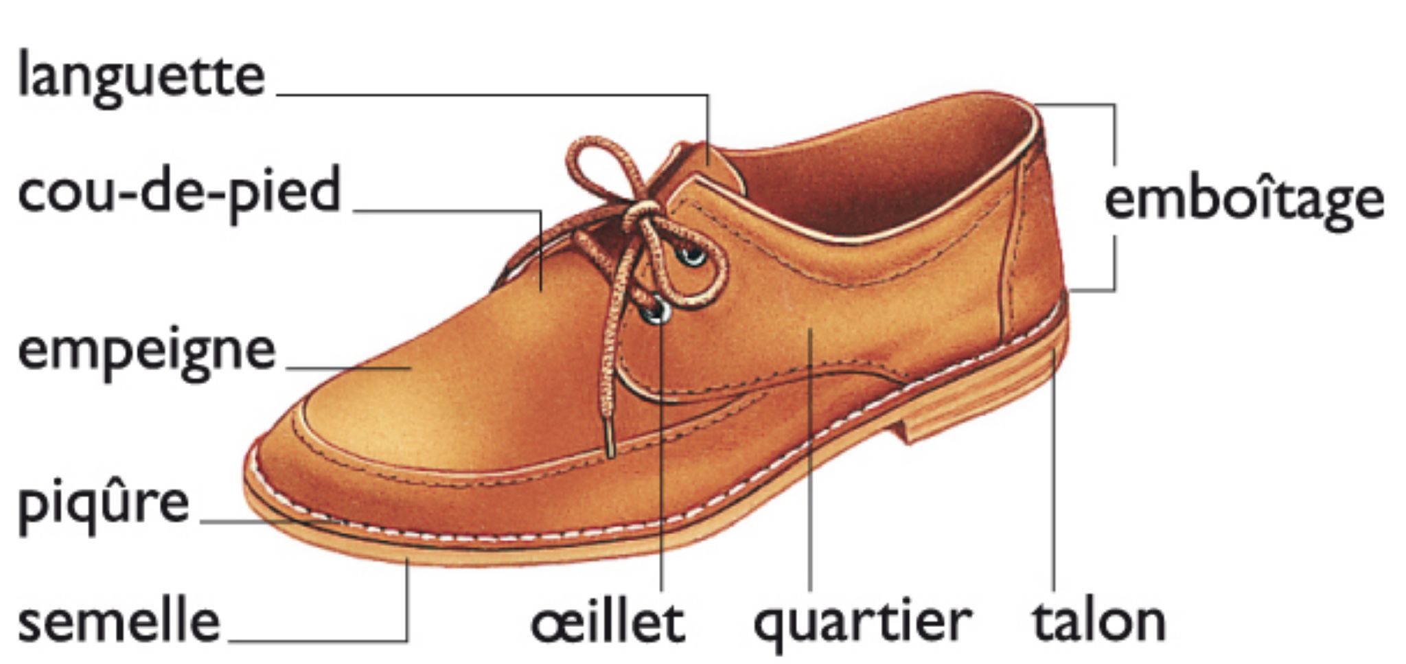 les éléments constitutifs d’une chaussure