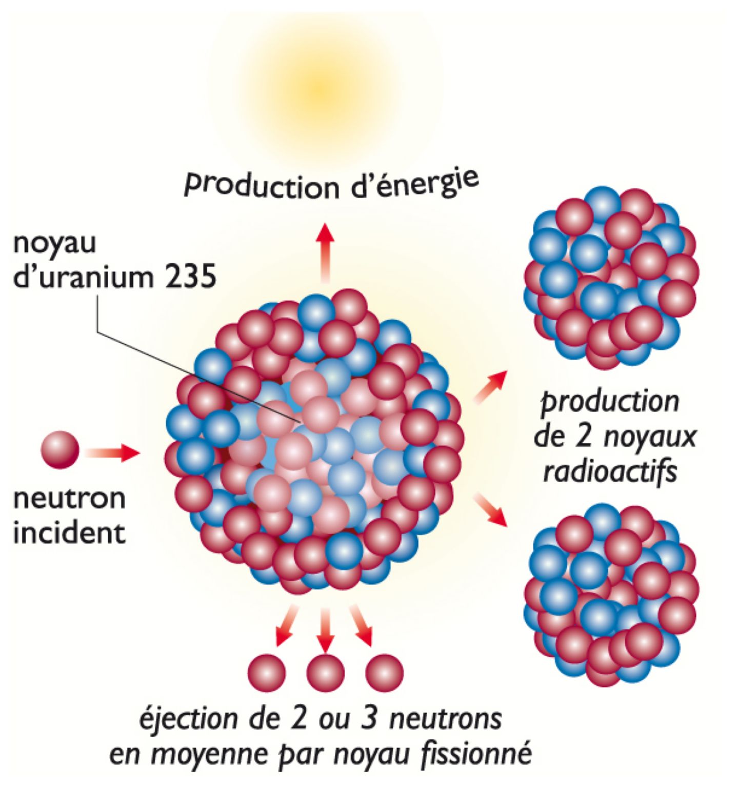 principe de la fission nucléaire à partir de l’uranium 235