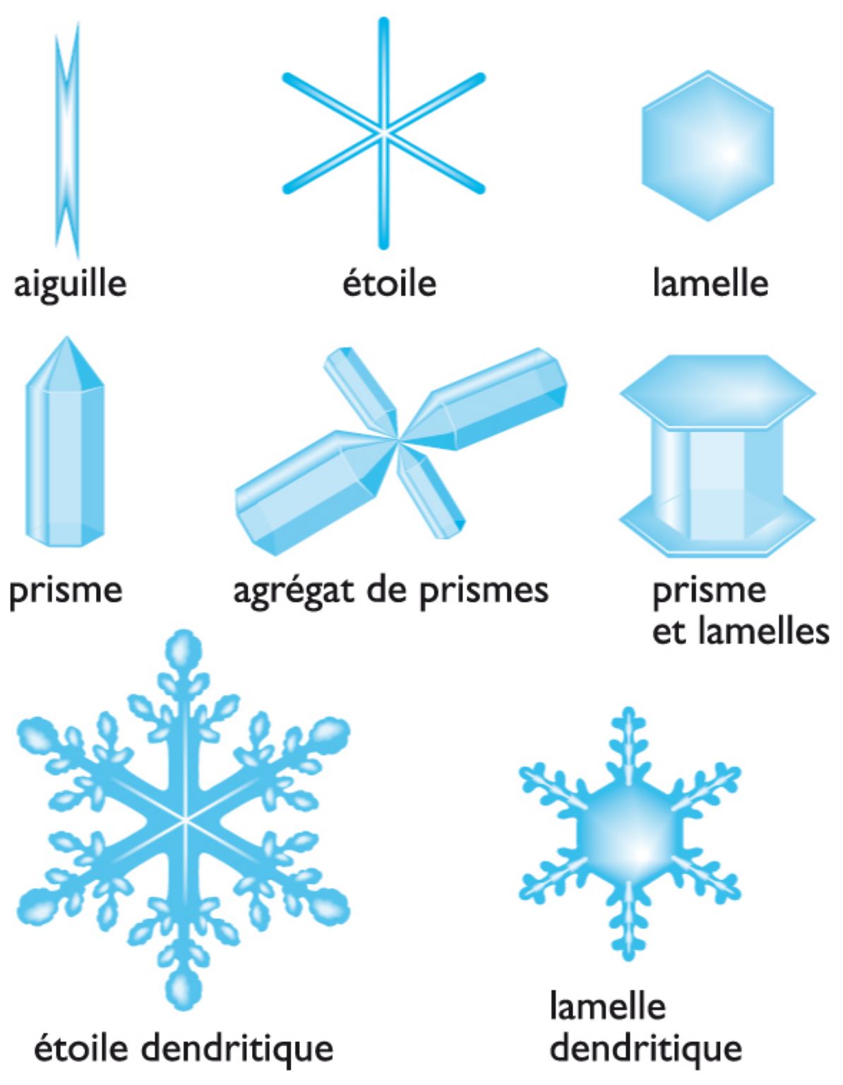 quelques formes caractéristiques des cristaux de neige