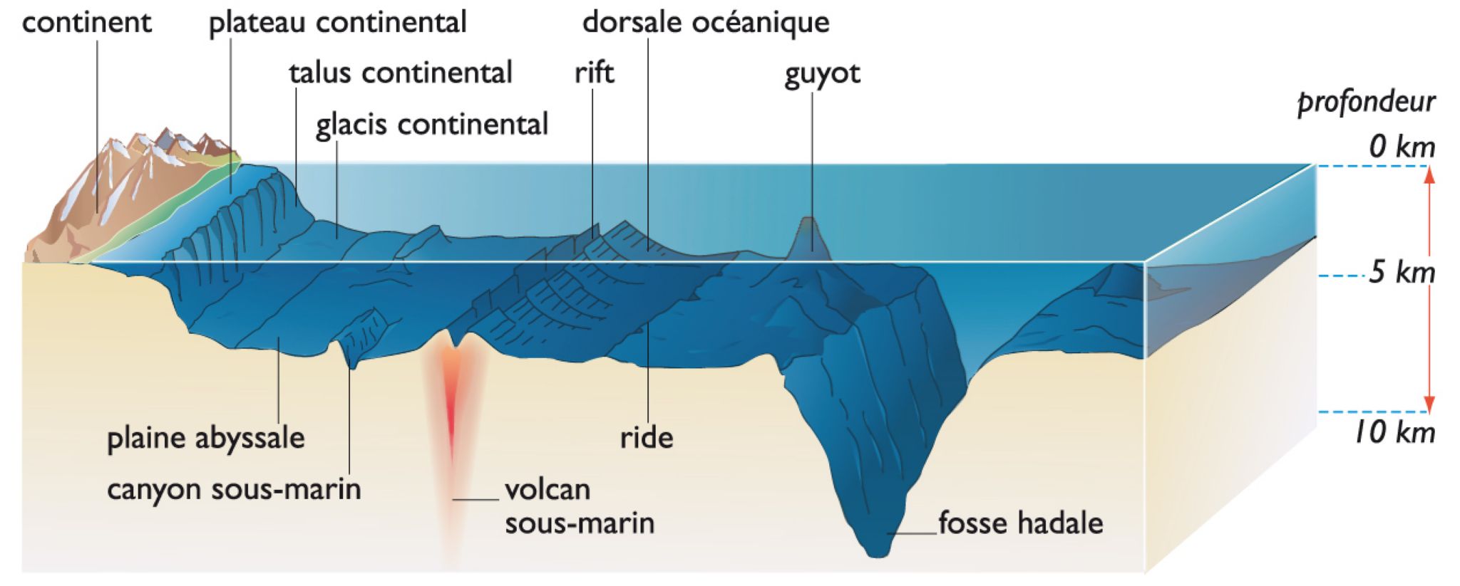 géomorphologie des fonds océaniques