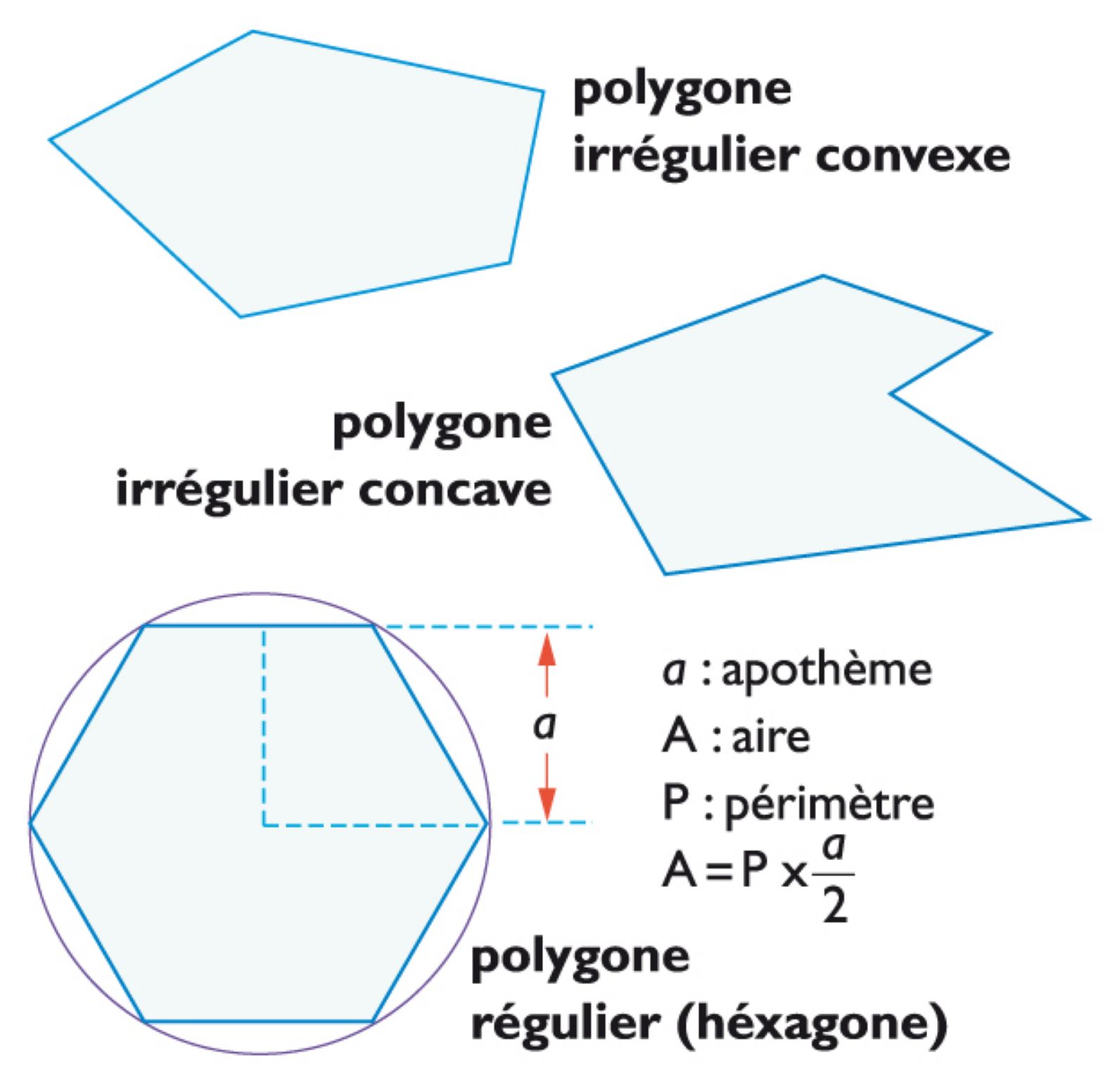 des polygones