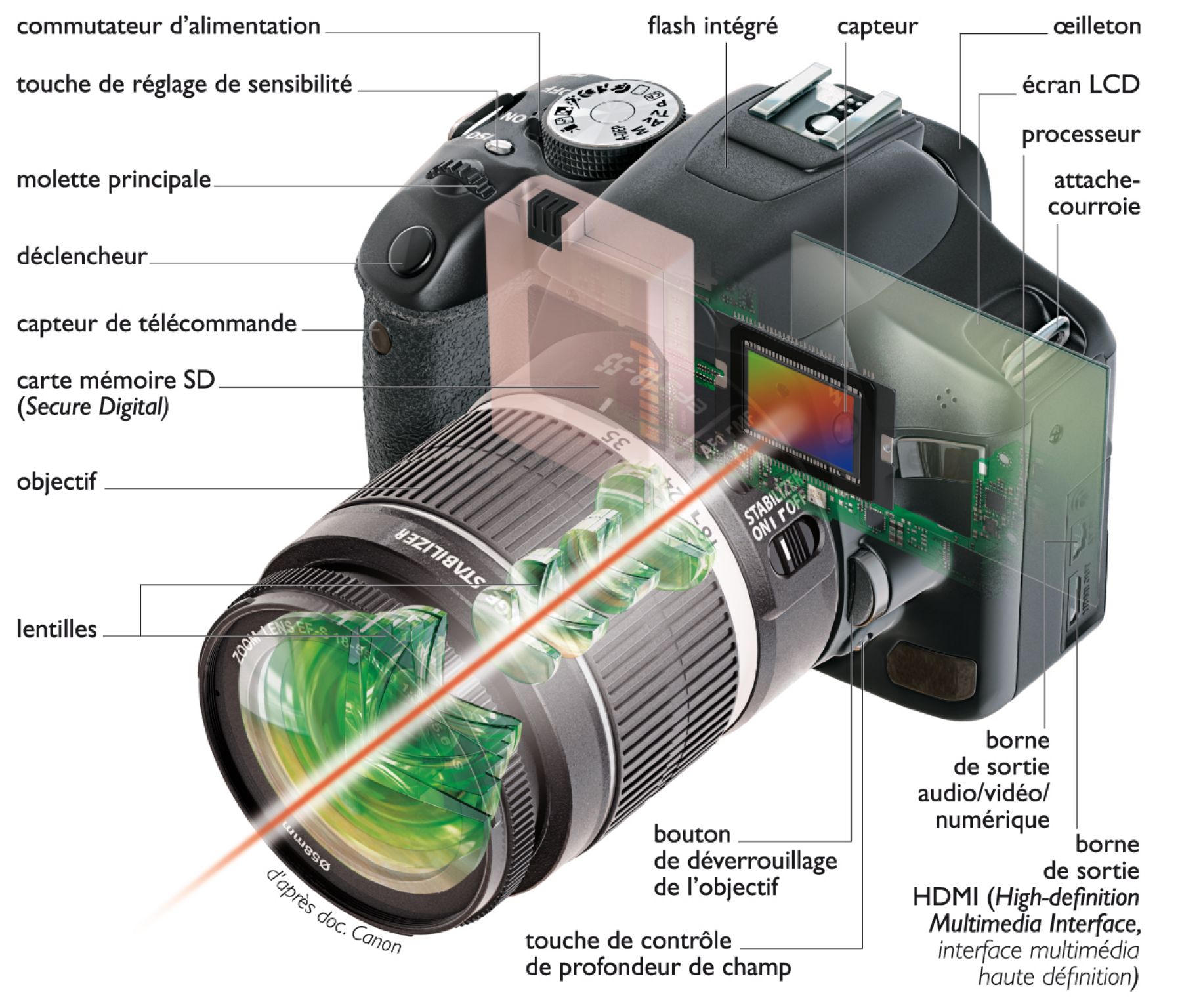 un appareil de photographie reflex numérique