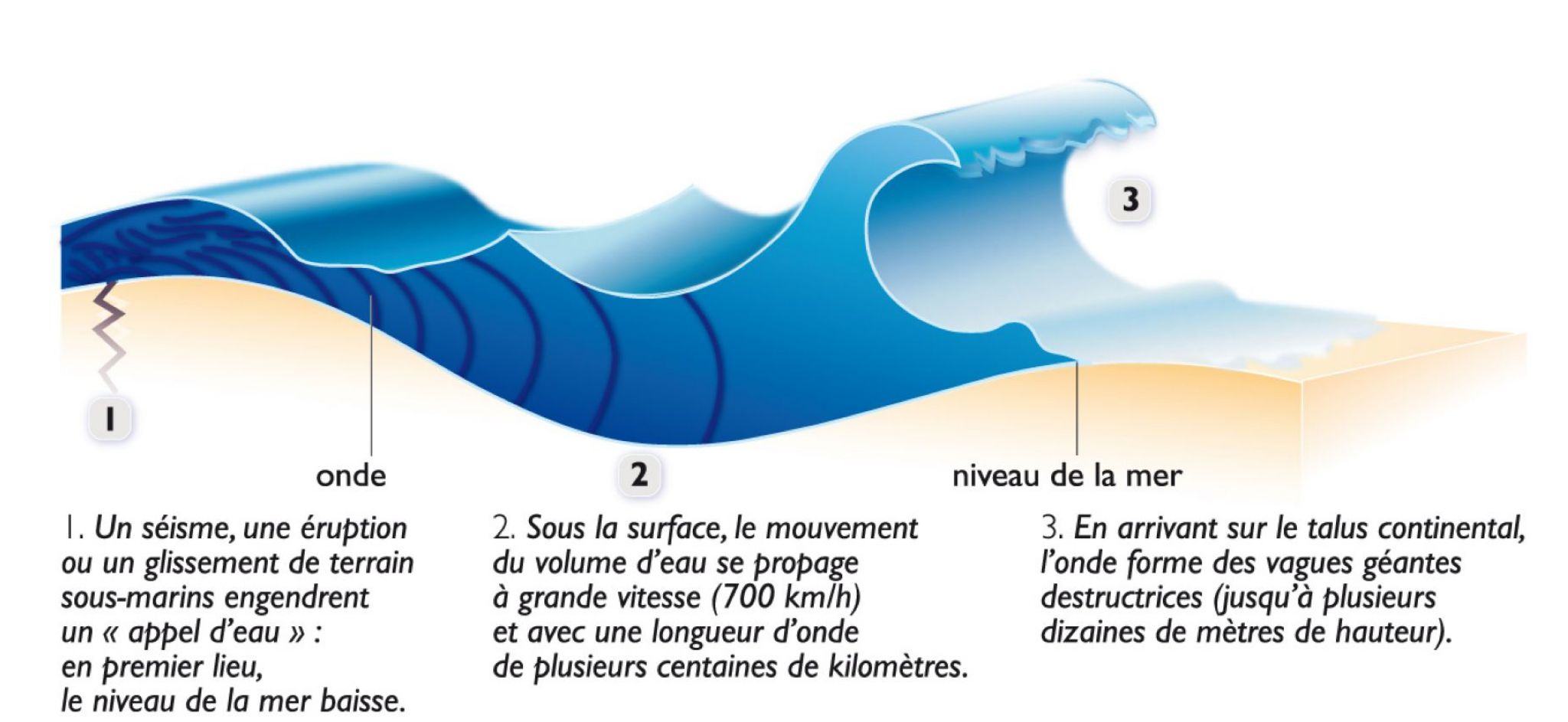 formation des vagues géantes (tsunami)