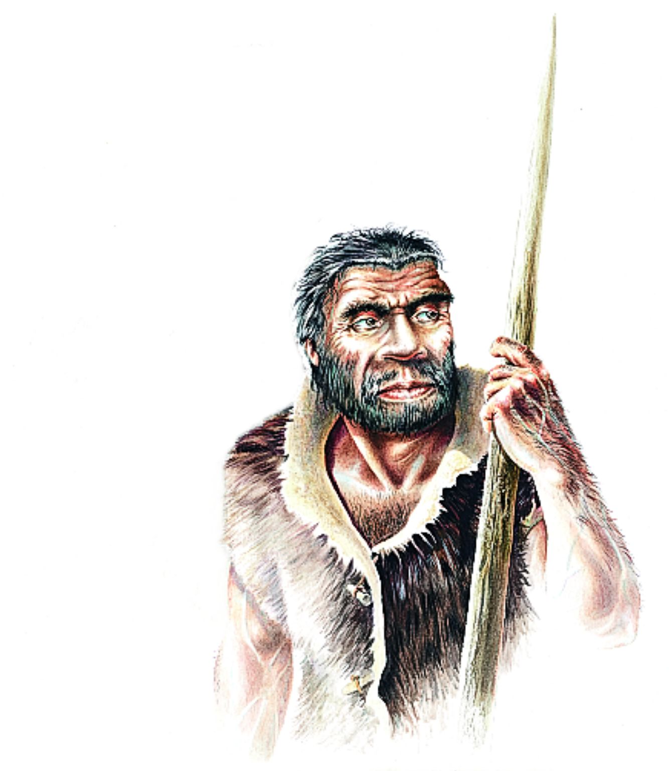 représentation de l’homme de Neandertal