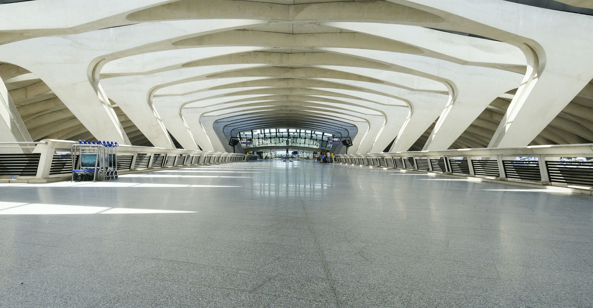 aérogare de l’aéroport de Lyon-Saint-Exupéry (conçue par Santiago Calatrava)