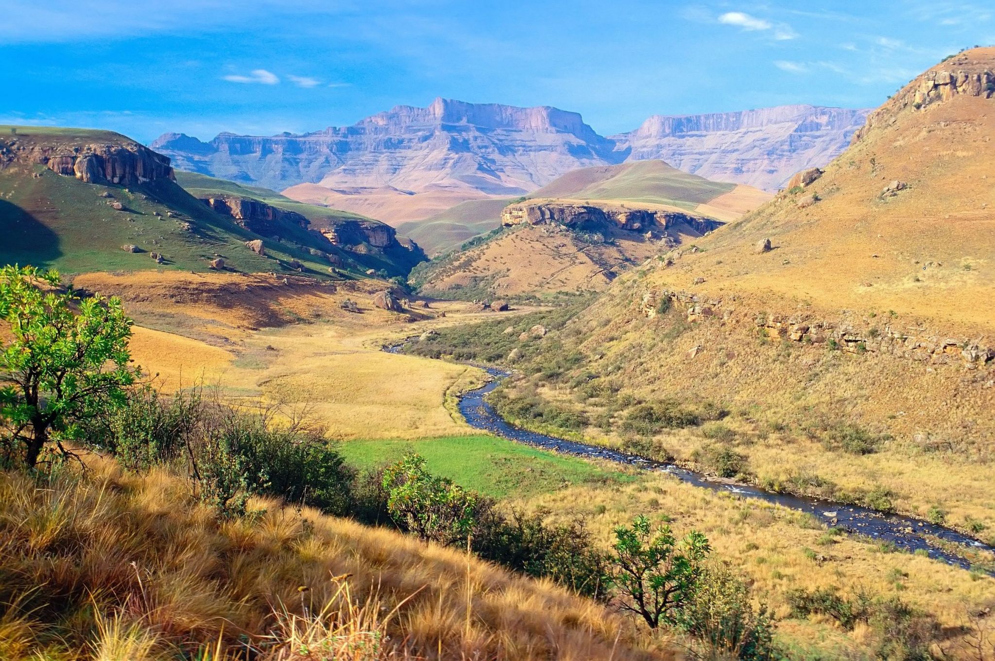 parc national de Giant’s Castle dans le Drakensberg, Afrique du Sud