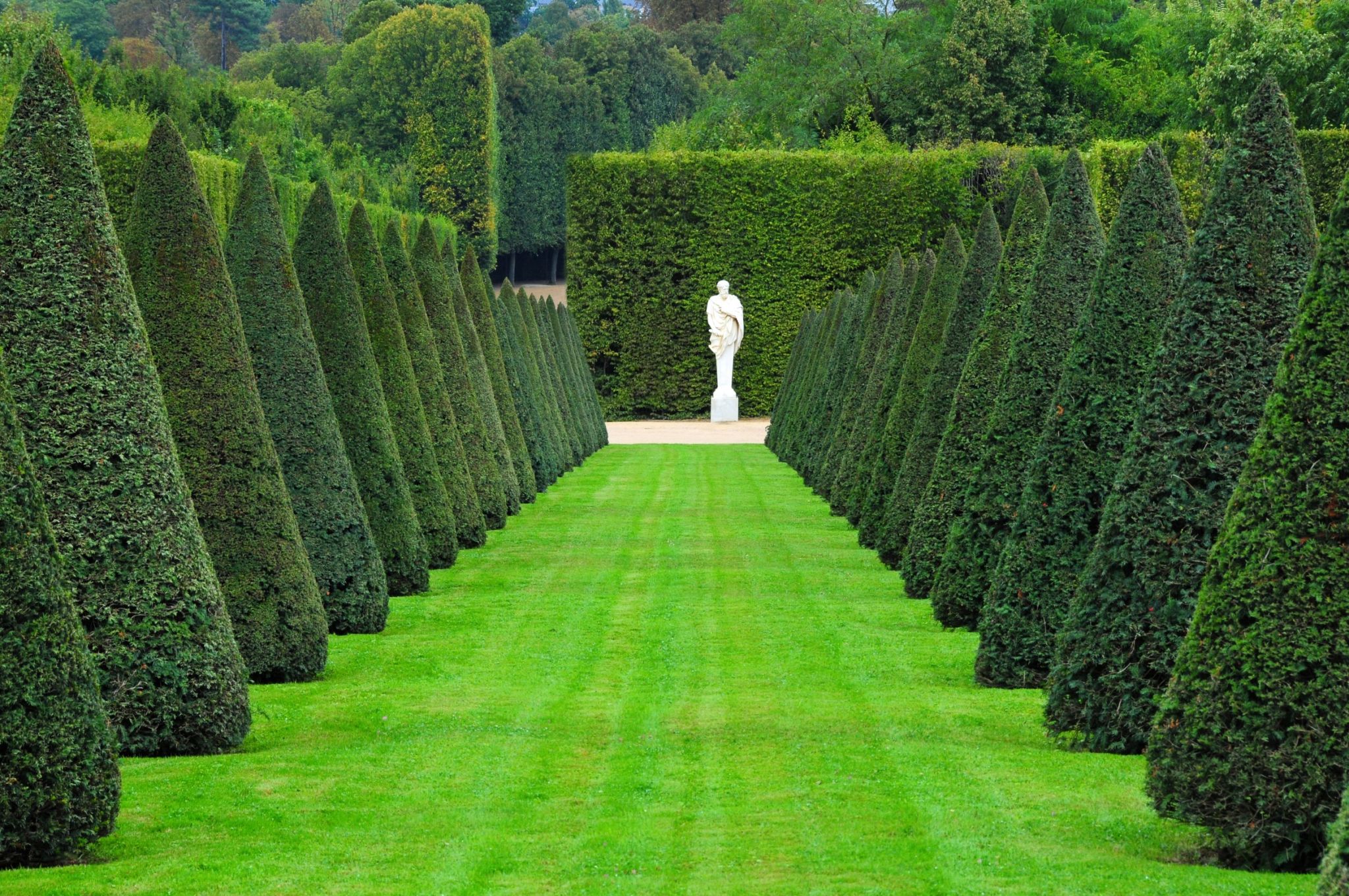 une allée du parc du château de Versailles, modèle du jardin à la française