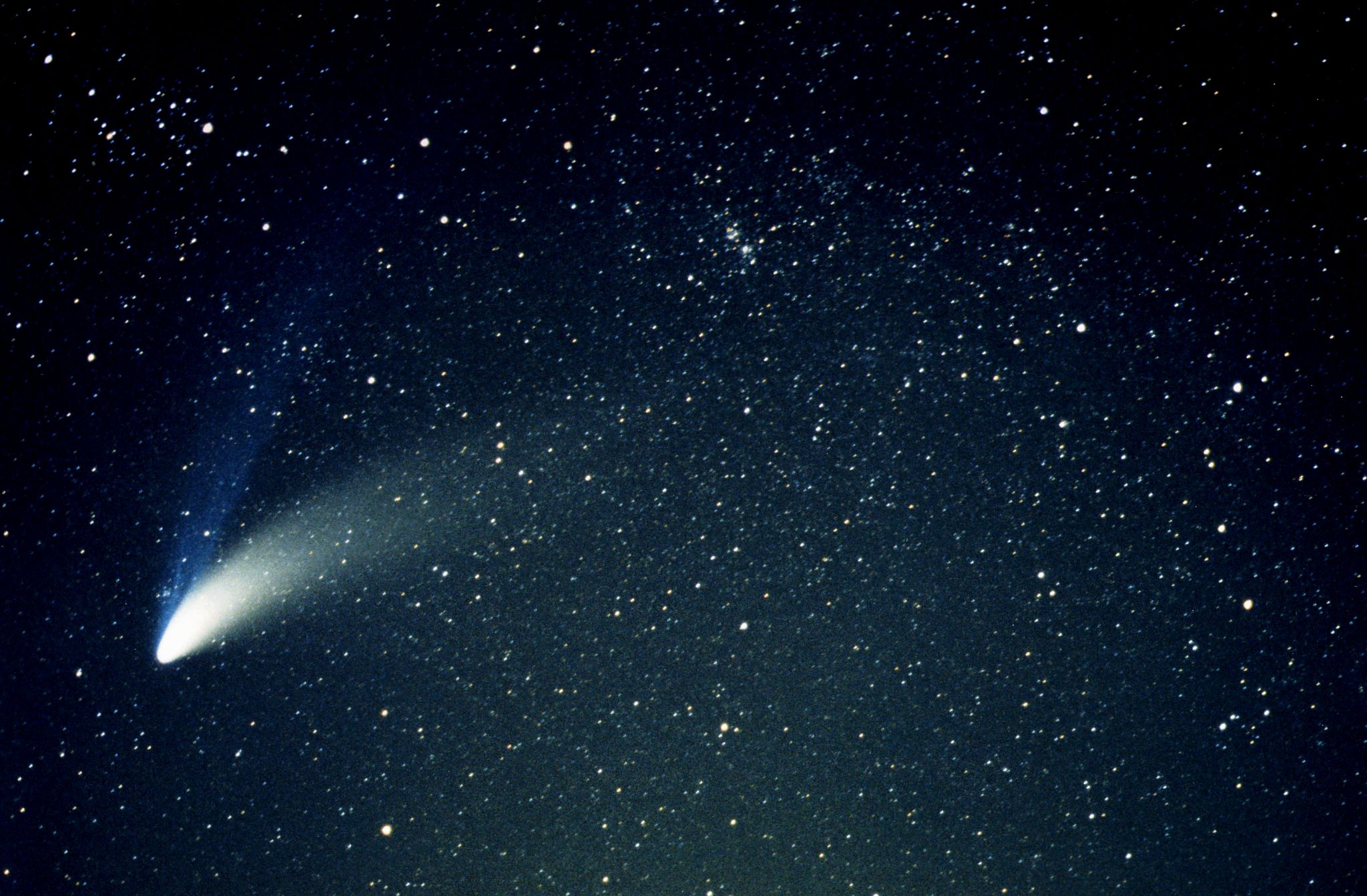 une comète avec ses deux queues, de plasma et de poussières