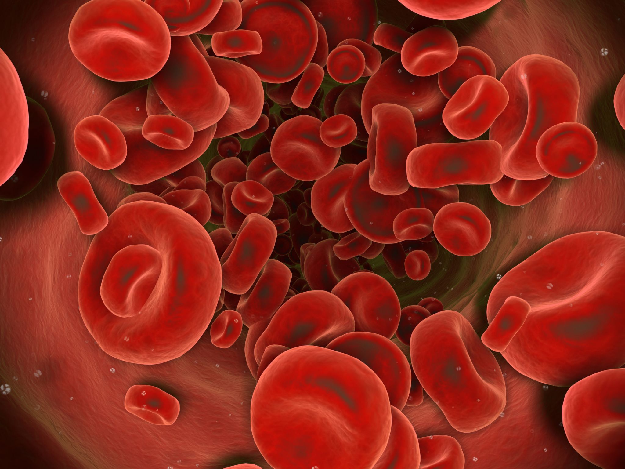 les globules rouges  donnent sa couleur au sang