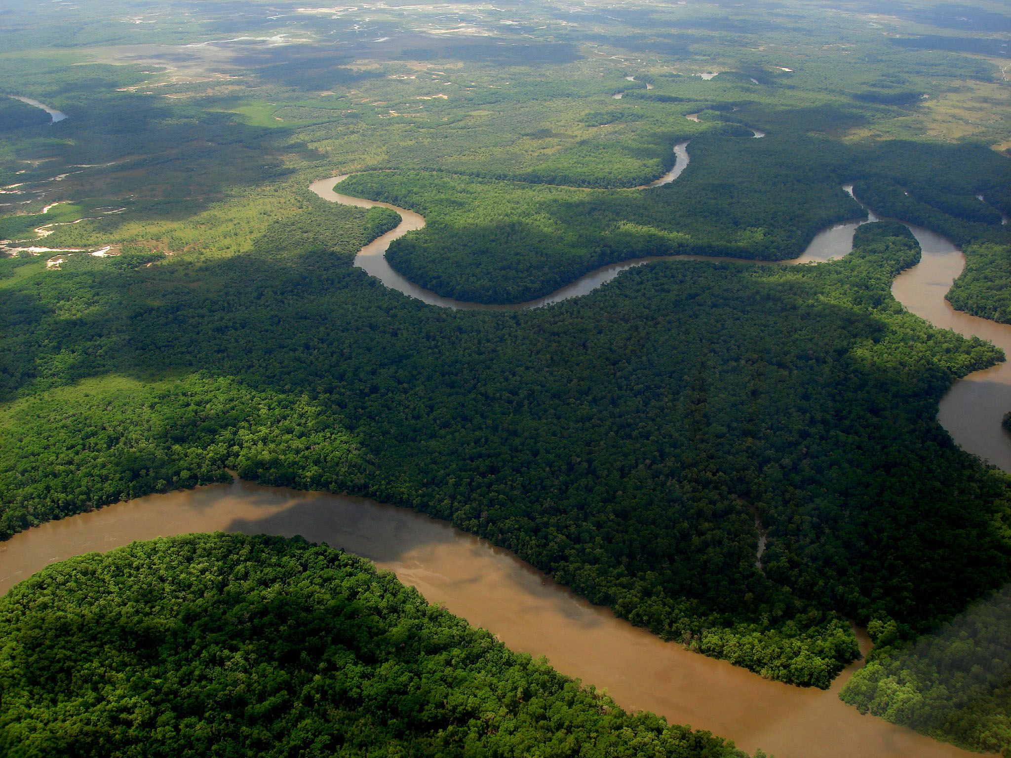 vue aérienne de la forêt amazonienne et des méandres du fleuve Amazone