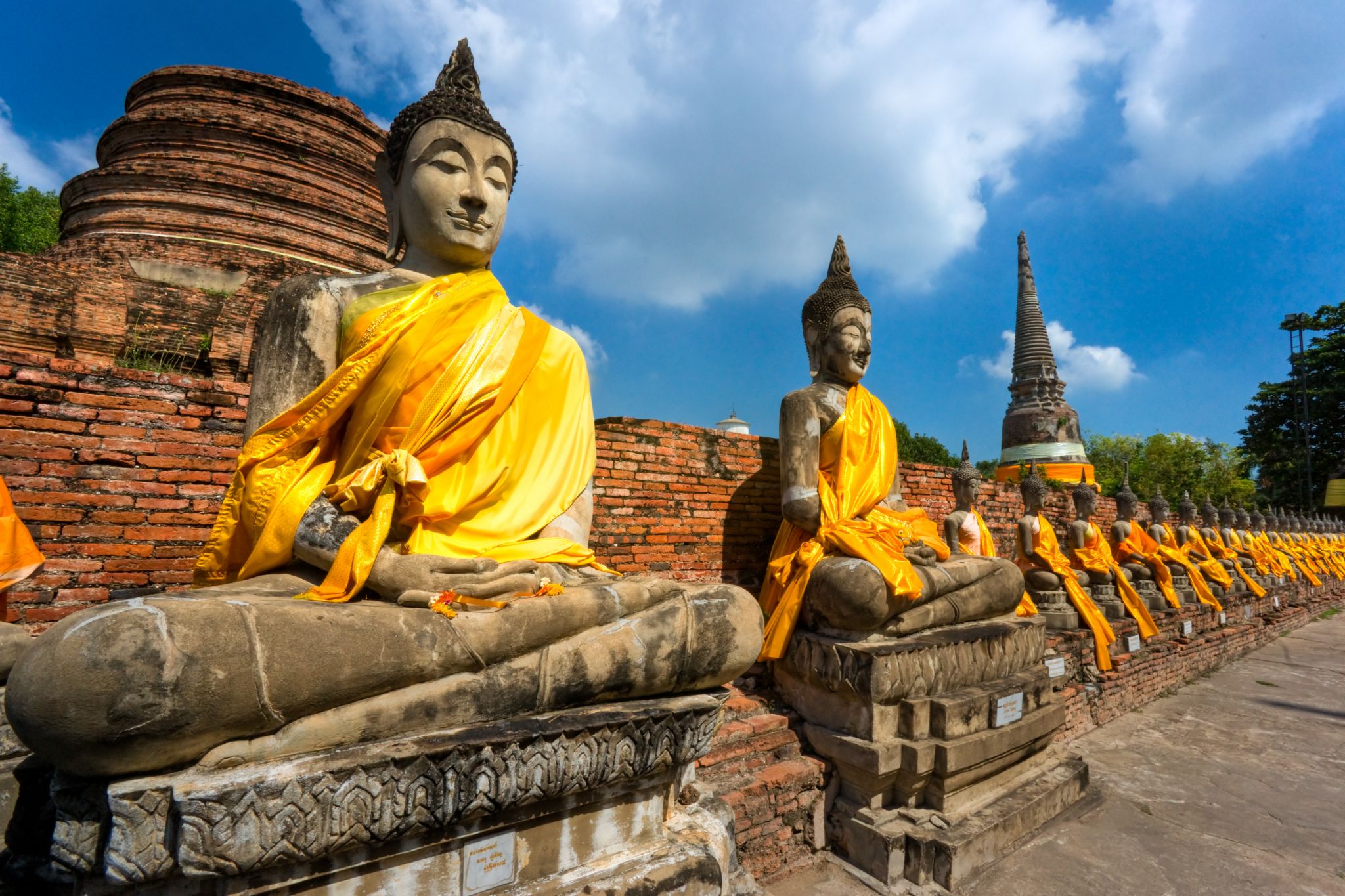 statues de Bouddha dans la cité historique d’Ayuthia (Thaïlande)