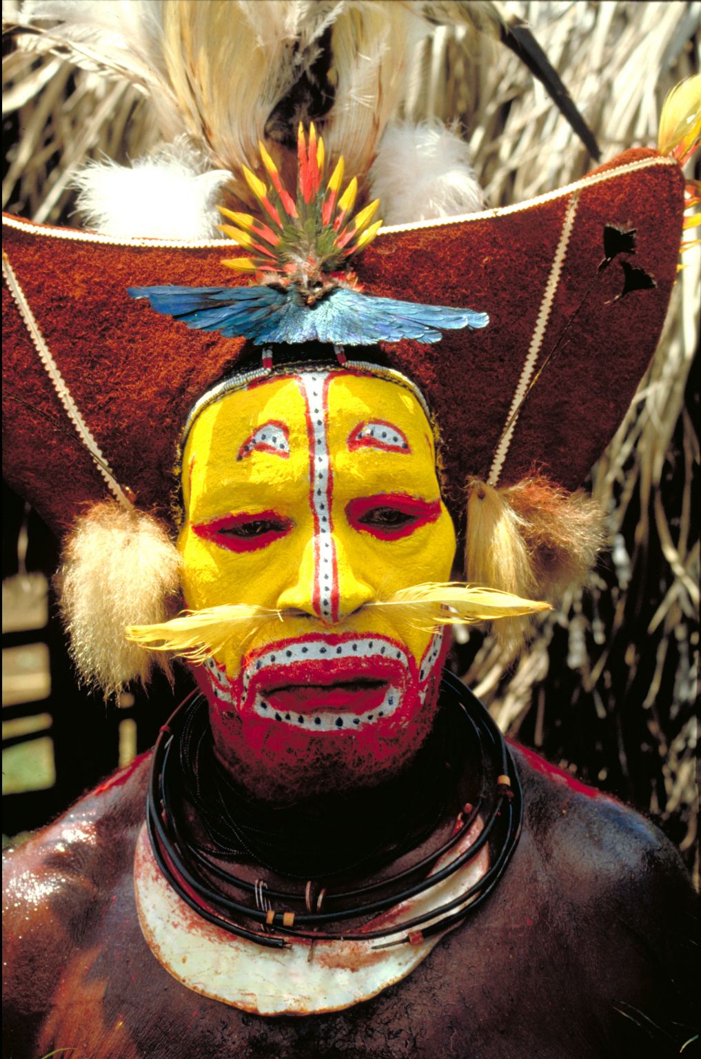 la parure rituelle d’un Papou avec peinture faciale, coiffure et bijoux