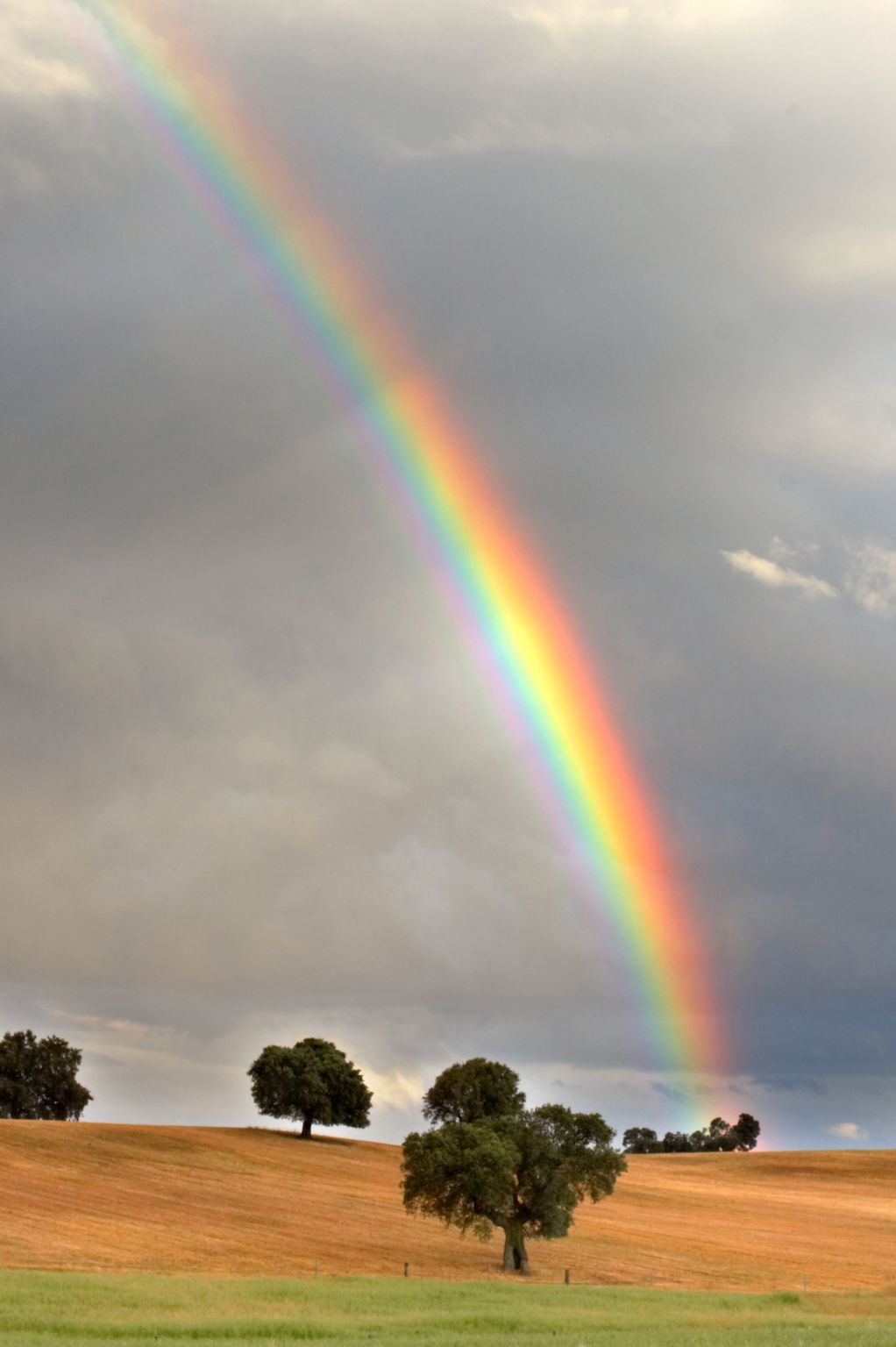 formation d’un arc-en-ciel après l’orage