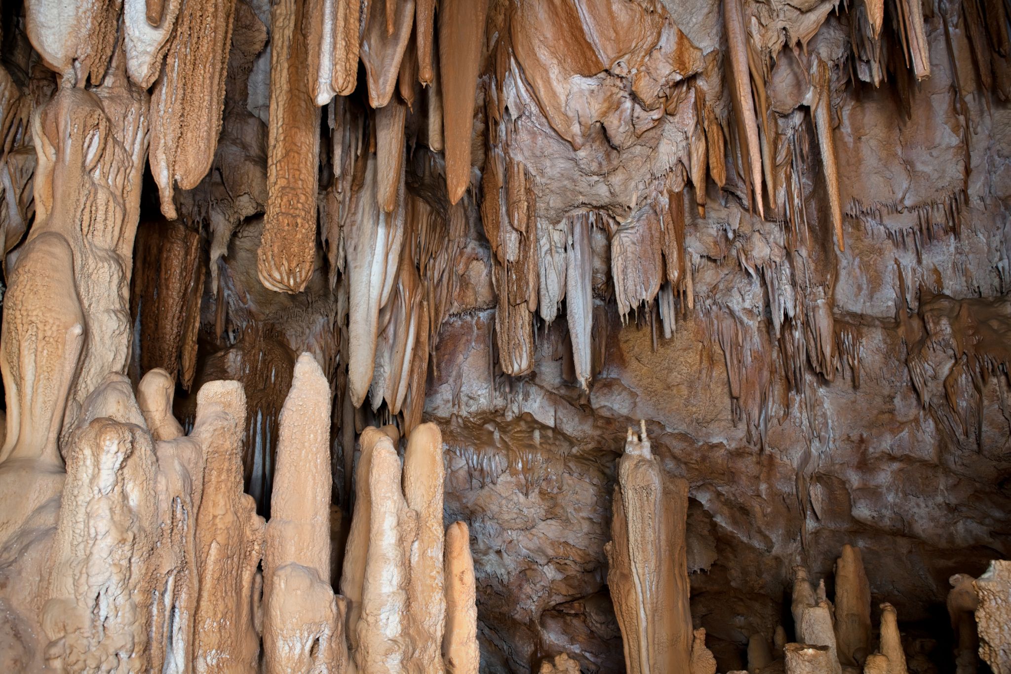 des stalactites (descendantes) et des stalagmites (montantes)